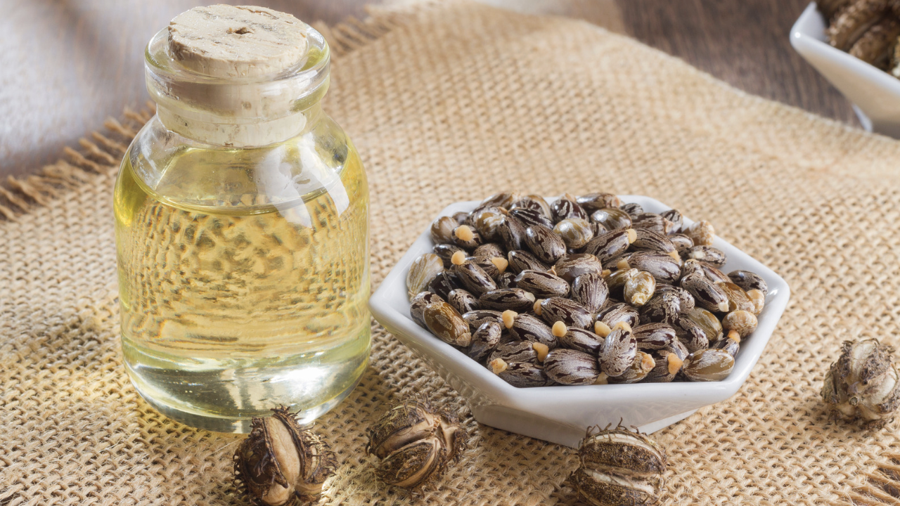 Castoroil Dehydrated